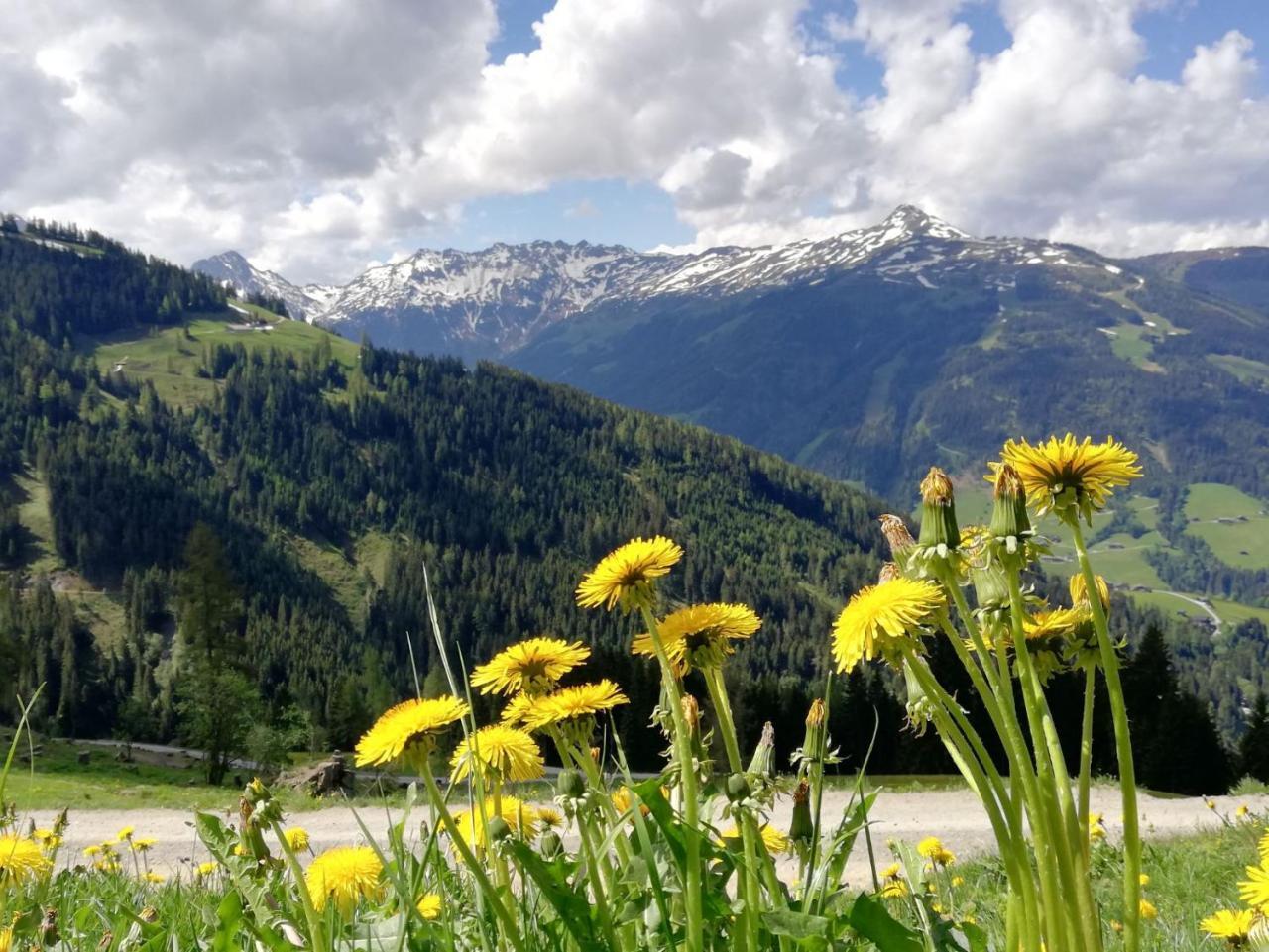 Pension Edelweiss Breitenbach am Inn المظهر الخارجي الصورة